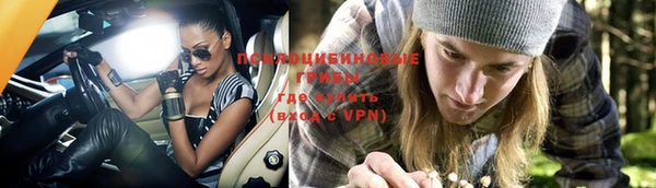 мдпв Краснослободск