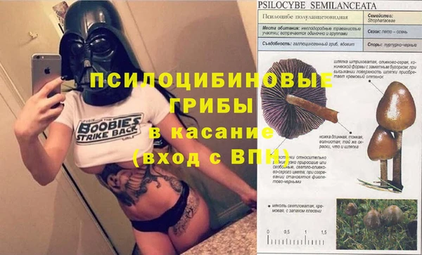 эйфоретик Абаза
