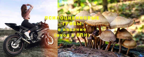 твердый Абдулино