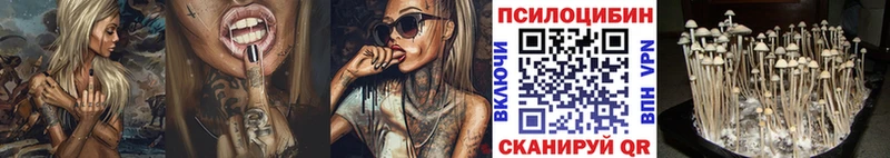 darknet Telegram  Смоленск  Галлюциногенные грибы Cubensis 